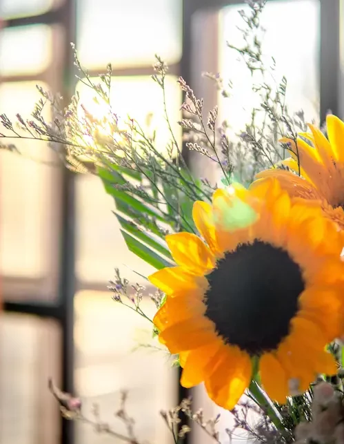 sante-feminine-dieteticienne-combourg-visio